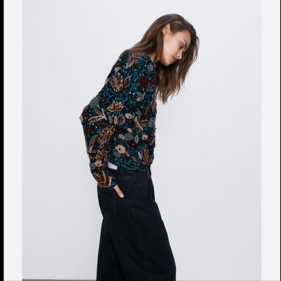 BNWT! Zara limited edition  Embroidered  sweater - Picture 3 of 7